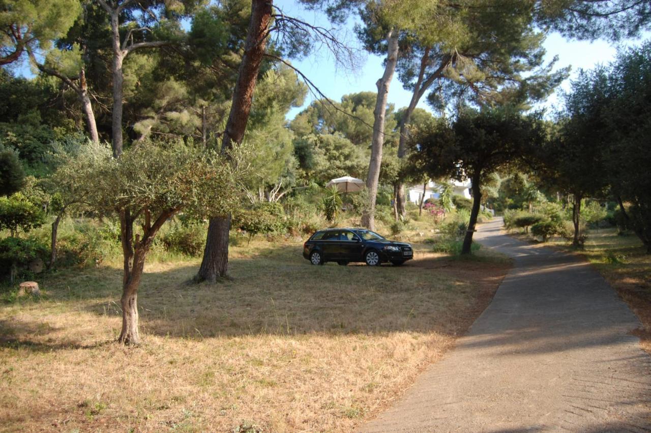 Magnifique "Gite De La Garoupe" Au Cap D'Antibes A 300M Des Plages Eksteriør billede