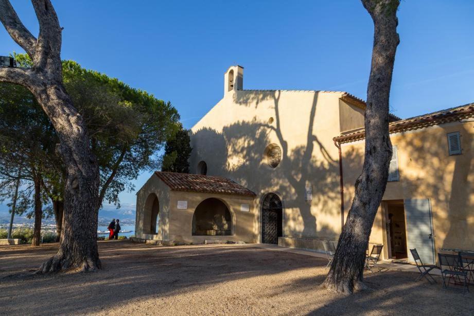 Magnifique "Gite De La Garoupe" Au Cap D'Antibes A 300M Des Plages Eksteriør billede