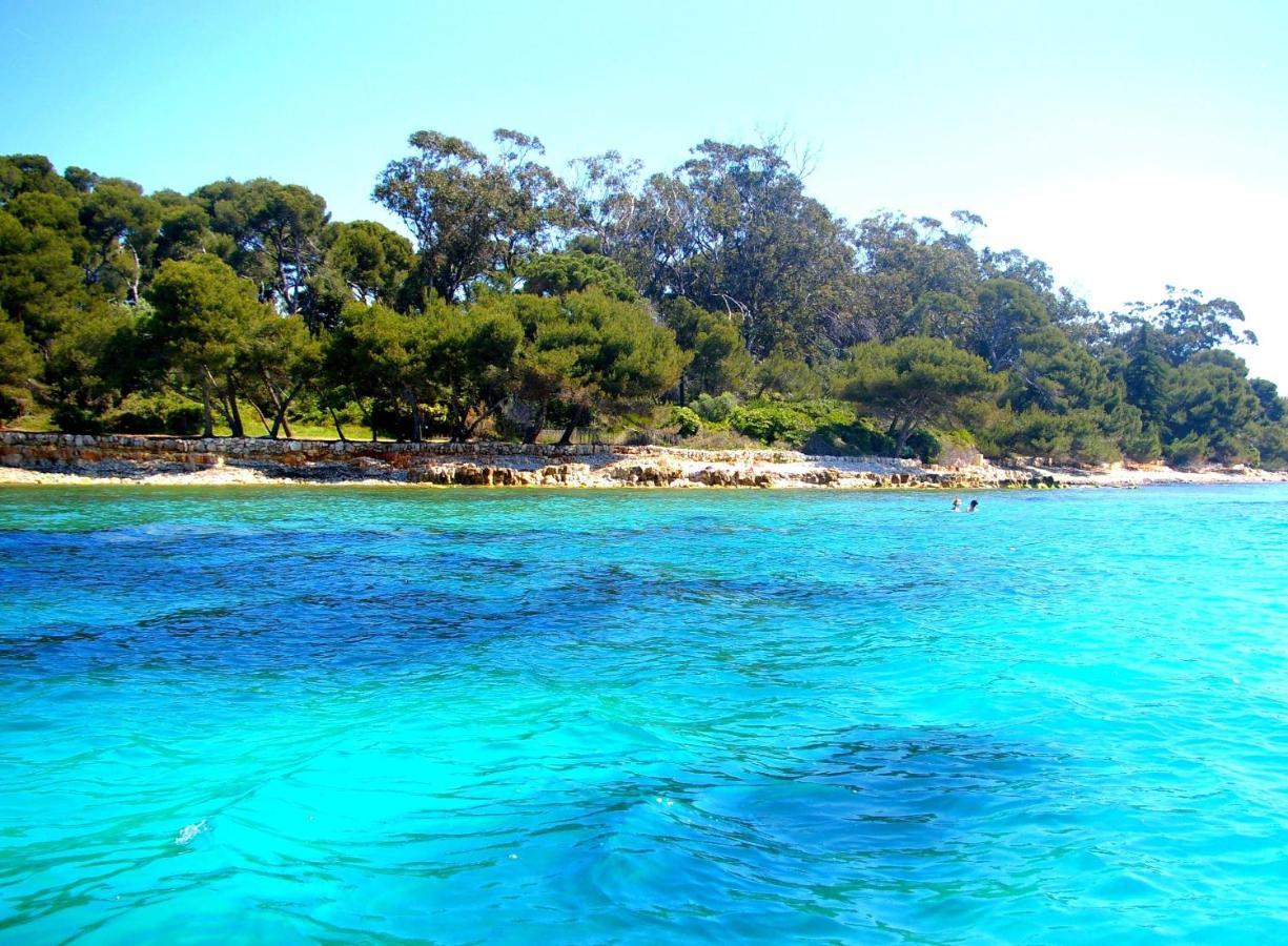 Magnifique "Gite De La Garoupe" Au Cap D'Antibes A 300M Des Plages Eksteriør billede